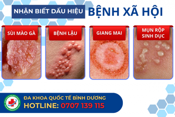 bxh (3).png