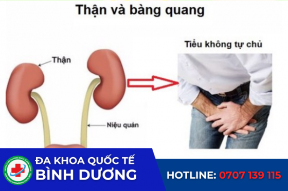 NAMKHOA TIEU.png