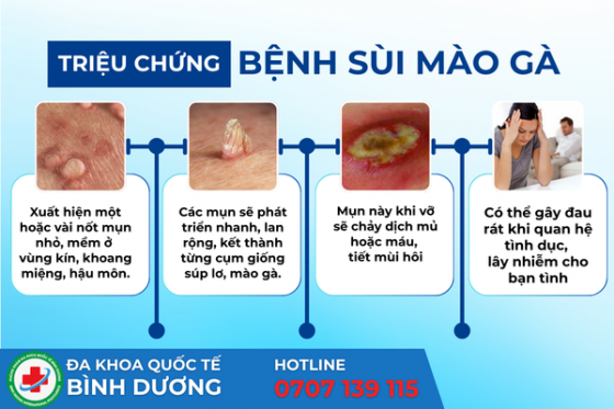 bxh (11).png