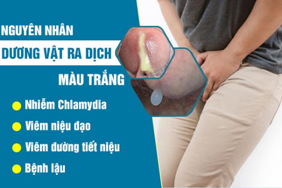 duong-vat-ra-dich-mau-trang-1.jpg