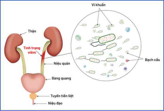 1759133865803511.png phong-kham-binh-duong (62).png