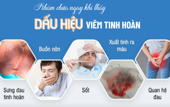 viêm tinh hoàn (1).png