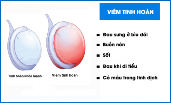 1759300273163206.png chua-benh-hieu-qua (12).png