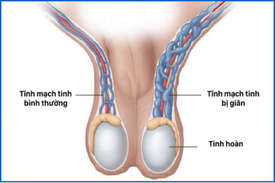 1759300403601198.png chua-benh-hieu-qua (10).png